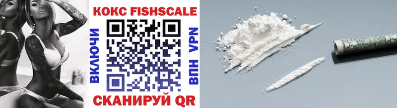 закладки  гидра вход  Cocaine Fish Scale  Ижевск 