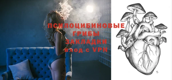 apvp Сосновый Бор