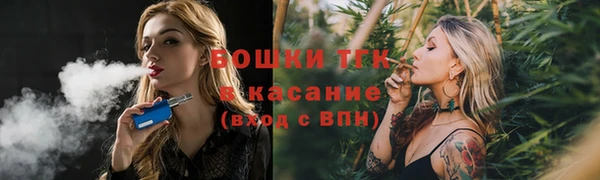 тгк Сосновка