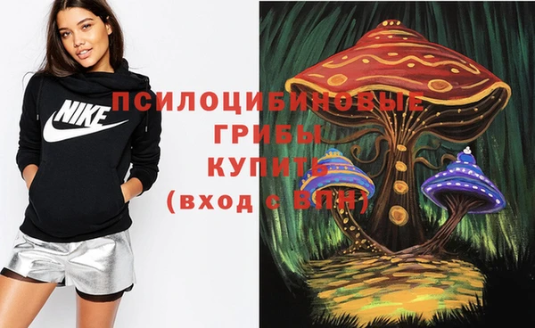 apvp Сосновый Бор