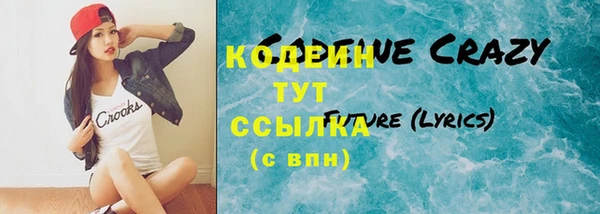 индика Арсеньев