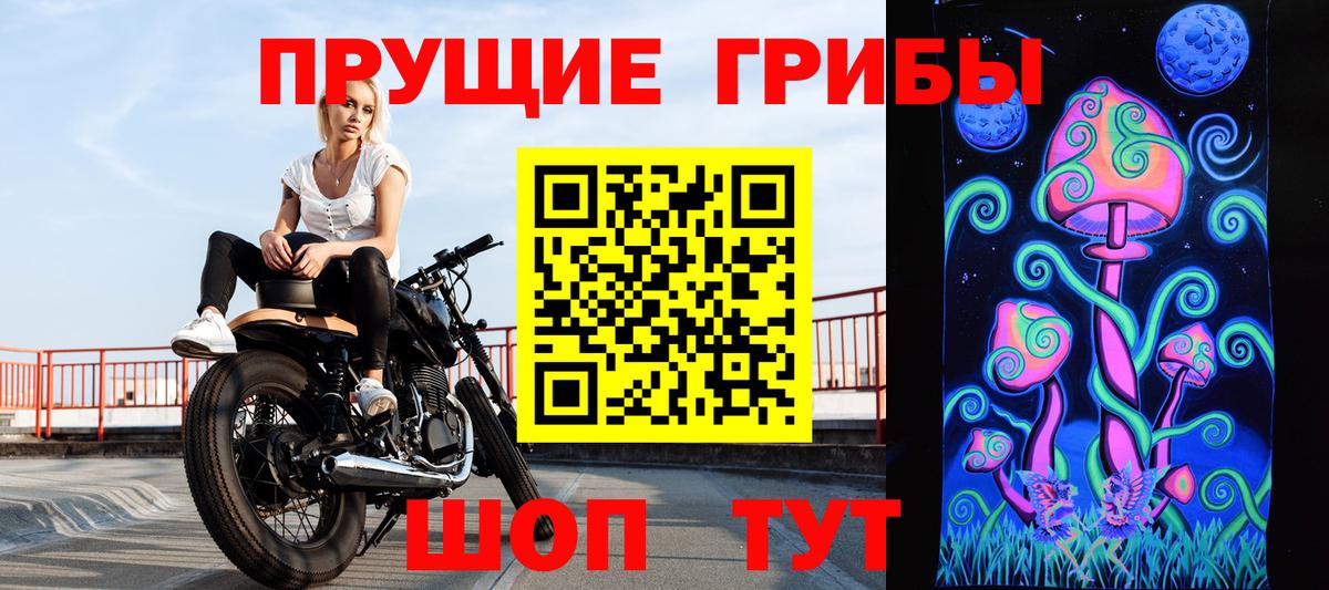 Псилоцибиновые грибы мицелий Ижевск