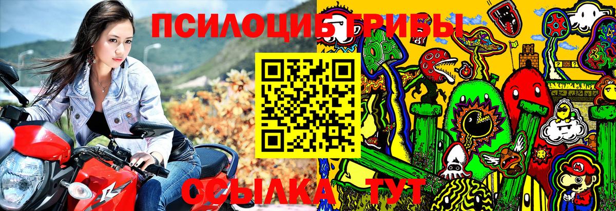 Псилоцибиновые грибы Cubensis  Псилоцибиновые грибы Psilocybine cubensis  Вход с VPN  Ижевск 